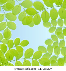 Green leaves background vector template