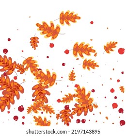 Green Leaves Background White Vector. Acorn Dead Illustration. Brown Leaf. Gradation Set. Orange Oak Border.