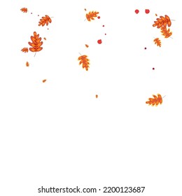 Green Leaves Background White Vector. Plant Border Illustration. Brown Leaf. Object Frame. Gold Oak Silhouette.
