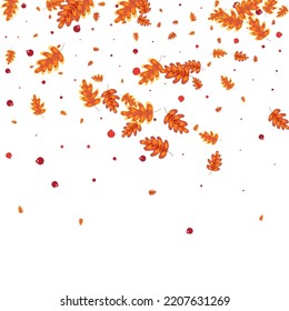 Green Leaves Background White Vector. Leaf Forest Texture. Brown Plant. Material Illustration. Red Oak Art.