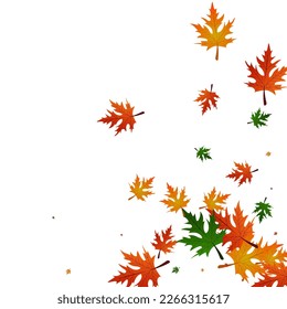 Green Leaves Background White Vector. Leaf Shape Texture. Red Season. Wallpaper Pattern. Gold Plant Beautiful.