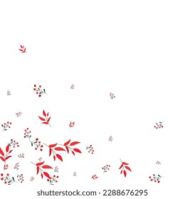 Green Leaves Background White Vector. Berries Modern Card. Burgundy Rowan. Pink Herb Art. Nature Template.