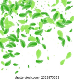 Green Leaves Background White Vector. Greenery Structure Texture. Elegant Illustration. Light Green Creative Card. Plant Flora.