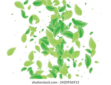 Green Leaves Background White Vector. Sheet Symbol Texture. Forest Design. Greenish Clear Frame. Vegetation Delicate.
