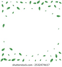 Green Leaves Background White Vector. Leaf Blend Illustration. Garden Design. Greenish Refreshing Frame. Greenery Template.