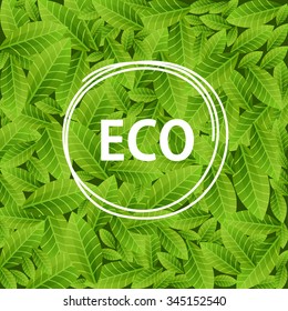 Green leaves background with word ECO in circle frame. Ecological concept. Vector illustration.