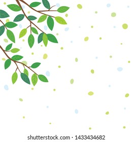 Green leaves background.Branch with green leaves. 