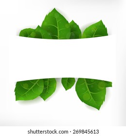 Green leaves banner