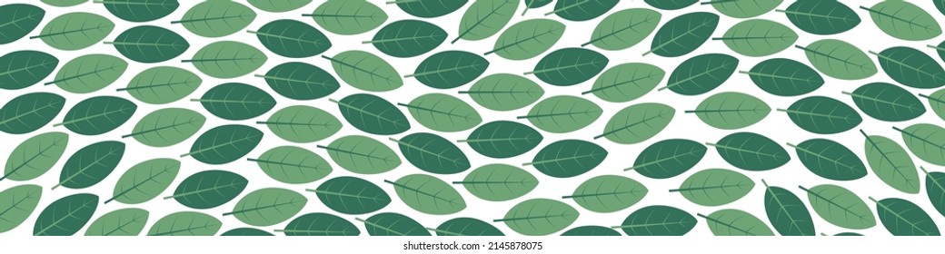 green leaves banner- vector illustration