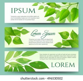 Green leaves banners with white background. Green leaf nature eco spring headers.Vector illustration