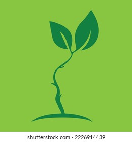 Green Leaves based on green background