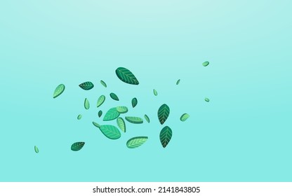 Green Leaves Blur Vector Blue Background Concept. Fresh Foliage Brochure. Forest Leaf Tea Plant. Greens Forest Branch.