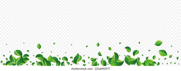 Green Leaves Blur Vector Panoramic Transparent Background. Nature Foliage Design. Swamp Greens Ecology Pattern. Leaf Organic Branch.