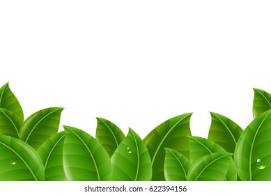 Green Leaves Border, Vector Illustration