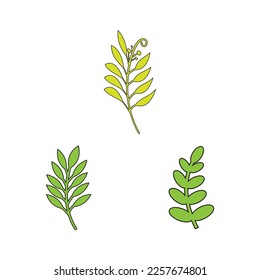 Green leaves Botanical logo vector and symbol design