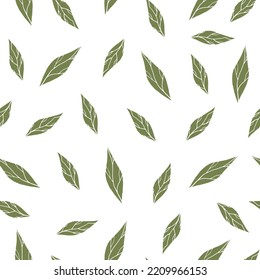 Green leaves botanical seamless pattern. Hand drawn botanical elements on white background