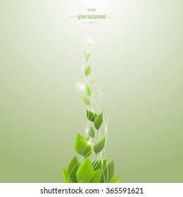 green leaves, branch, abstract, vector