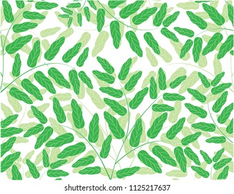 Green leaves with branch background. 