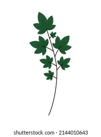 green leaves branch icon flat