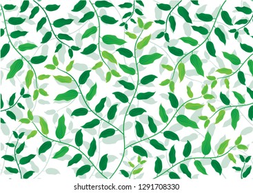 Green leaves with branch on white background
