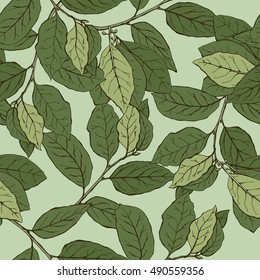 Green leaves. Branch. Seamless floral pattern. 
Laurel leaf (bay leaf). Hand drawn colorful sketch. 
Vector illustration.