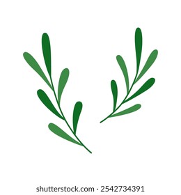 Green leaves branches isolated on white background.