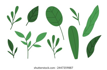 Green leaves and branches set. Flat vector illustration isolated on white background.