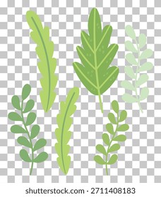 Green leaves and branches with a transparent background, showcasing different shapes and textures.