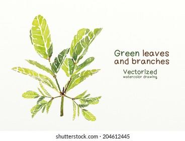 Green leaves and branches vectorized watercolor