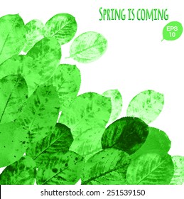 Green leaves bright background. Vector corner design.