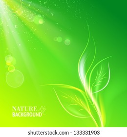 Green leaves, bright sun. Vector illustration, contains transparencies, gradients and effects.