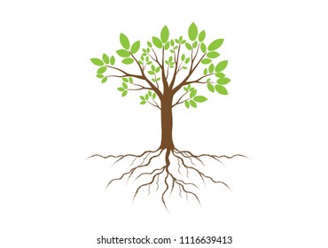 Green Leaves and brown Tree with Roots. Vector Illustration.EPS10.