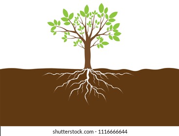 Green Leaves and brown Tree with Roots in the soil. Vector Illustration.EPS10.