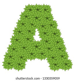 Green leaves bushea letter A isolated on white background