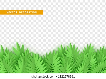 Green leaves, bushes. Grass, shape plant leaves border isolated with transparent background. Vector Illustration