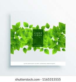 green leaves card cover background