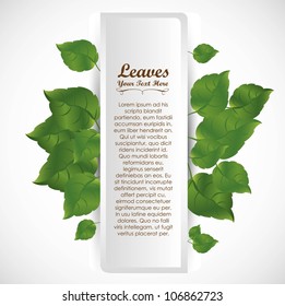Green leaves card on a white background, vector illustration