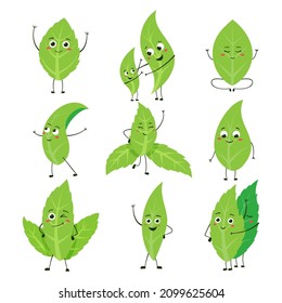 Green Leaves Character. Cartoon Tea Peppermint And Tree Leaf Mascot With Cute Smiling Face. Vector Green Leaf Set