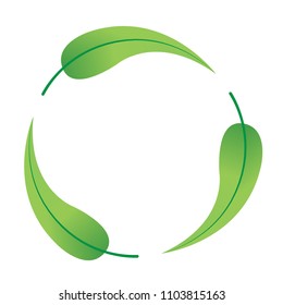 Green leaves in circle