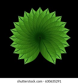 Green leaves circle. Degrade color. Foliage
