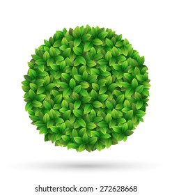 Green leaves circle frame isolated on white background