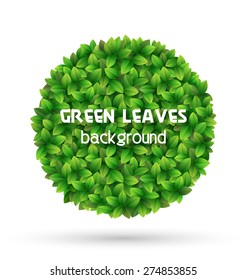Green leaves circle frame isolated on white background