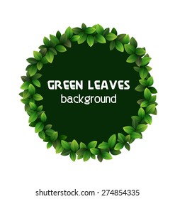 Green leaves circle frame isolated on white background