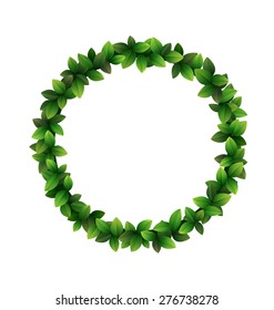 Green leaves circle frame isolated on white background