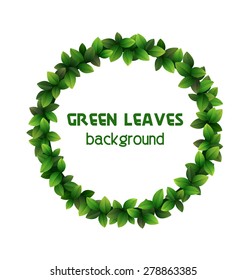 Green leaves circle frame isolated on white background