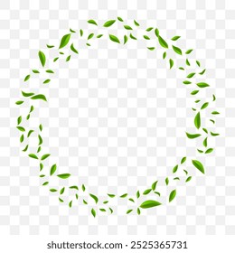 Marco de círculo de hojas verdes. Corona redonda con follaje fresco volador. Fondo floral de Vector.  