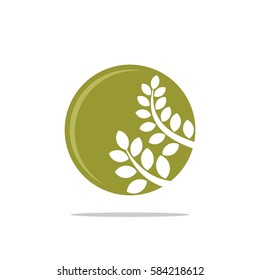 Green Leaves Circle Ornamental Logo Template Illustration Design. Vector EPS 10.