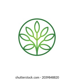 Green Leaves Circle Shape Spa Logo Icon Vector 