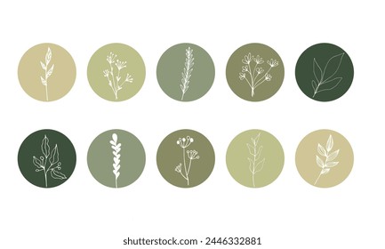 Green leaves in circle. Vegan food, bio drink. Nature line symbol on white background. Raw fresh product, graphic round frame, elegant sticker. Art floral illustration. Vector organic label