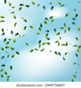 Green Leaves. Circular arrangement of leaves soaring against a serene blue sky, evoking a sense of freedom and harmony with nature.